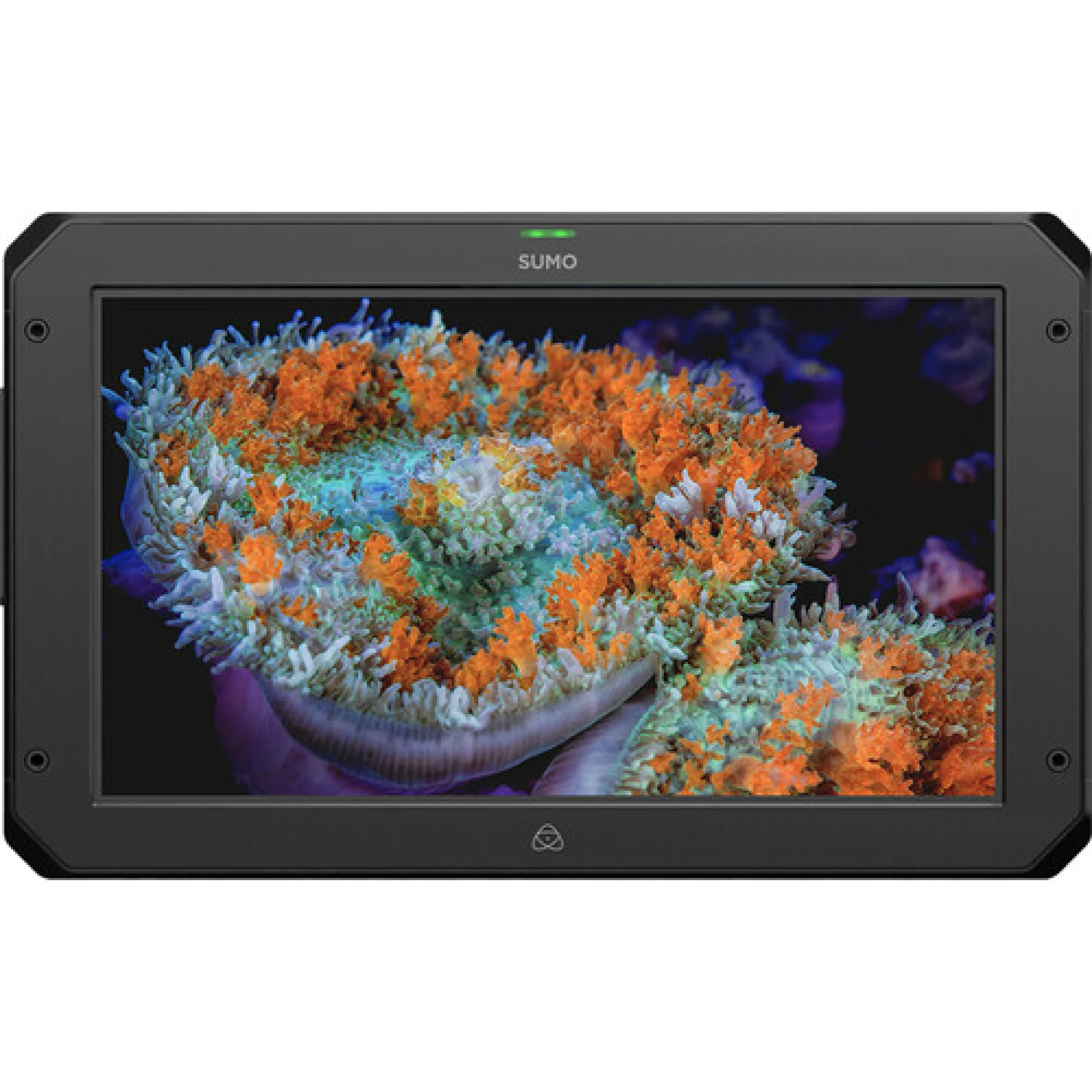 מוניטור מקליט / סוויצ'ר 19" Atomos Sumo19 SE HDR