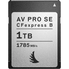 כרטיס זיכרון Angelbird AV PRO CFexpress B SE 1 TB