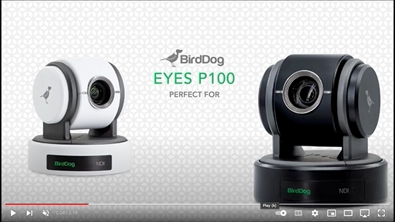 BirdDog Eyes P100 1080P full NDI PTZ Camera with SDI (White)