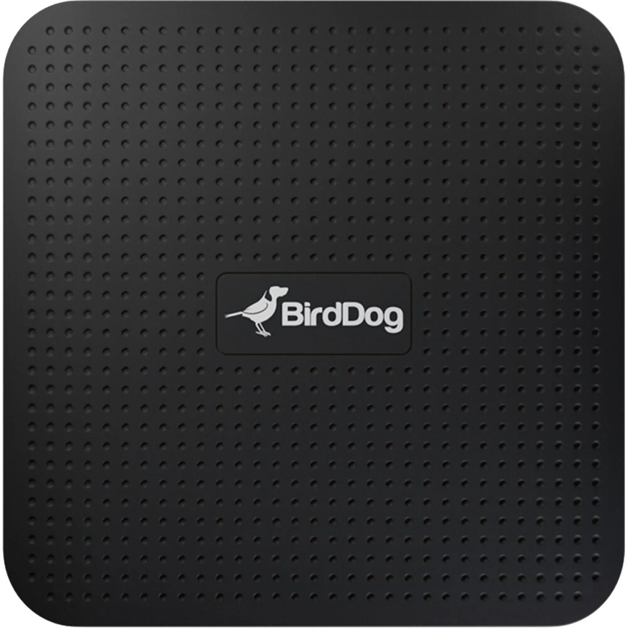 נגן BirdDog PLAY 4K NDI
