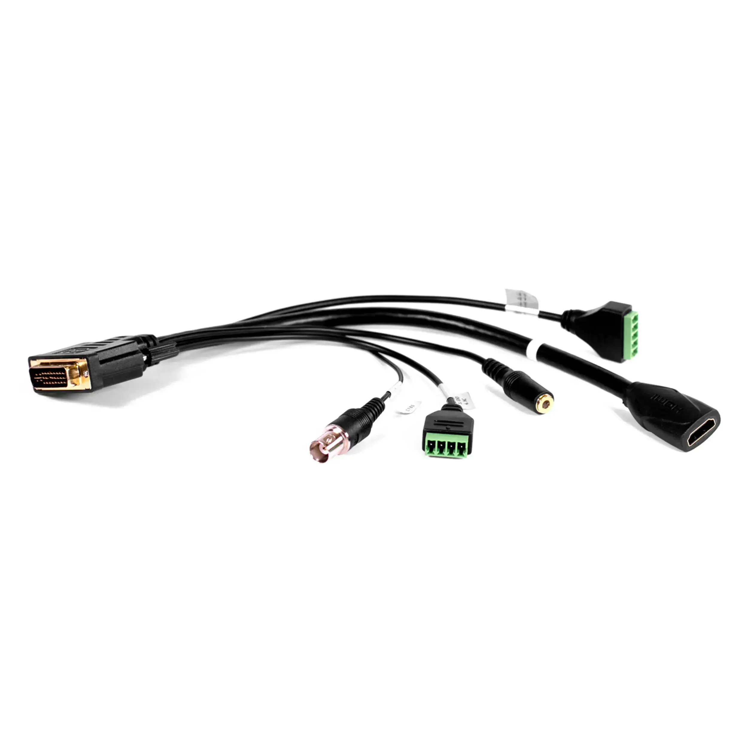מצלמת PTZ שחורה זום אופטי 10X חיבור Marshall USB3/HDMI