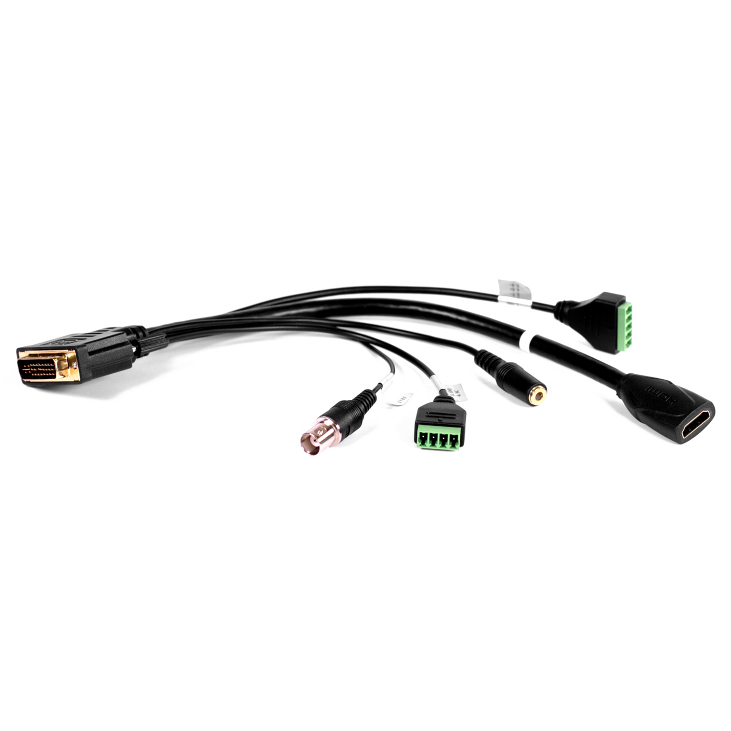 מצלמת PTZ לבנה זום אופטי 10X חיבור Marshall USB3/HDMI