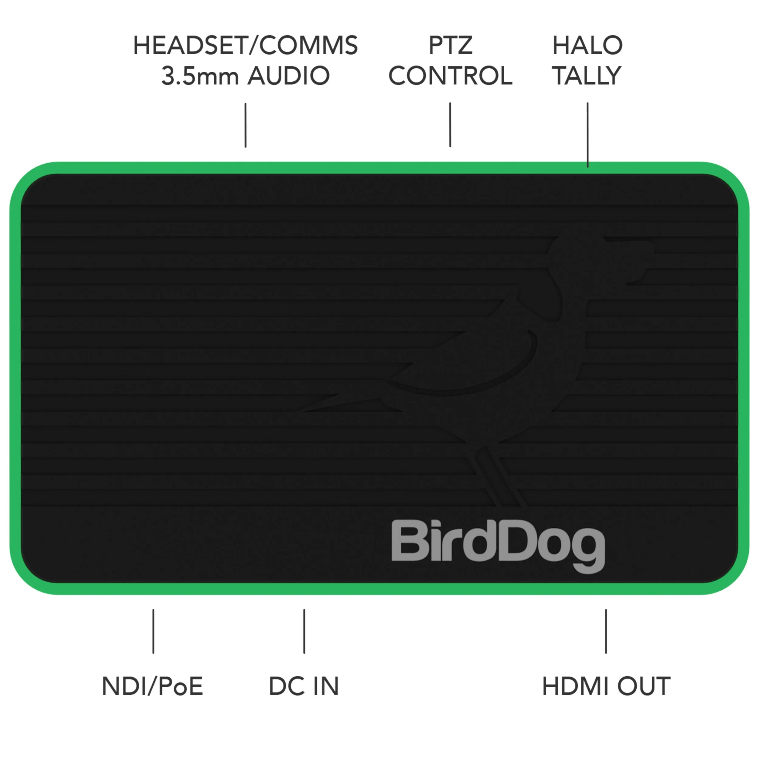 BirdDog Flex 4K Out Full NDI Decoder