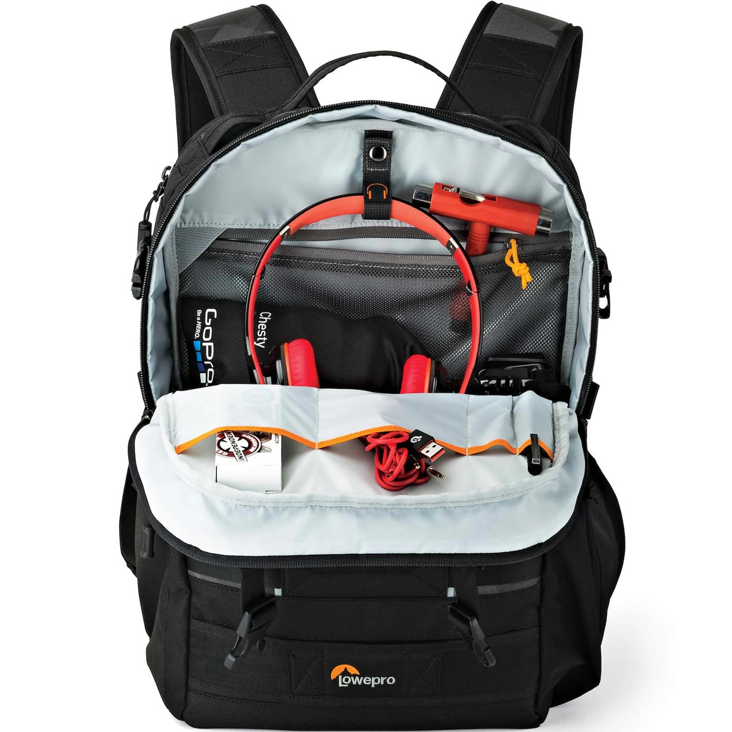 תיק גב למצלמה Lowepro ViewPoint BP 250 AW