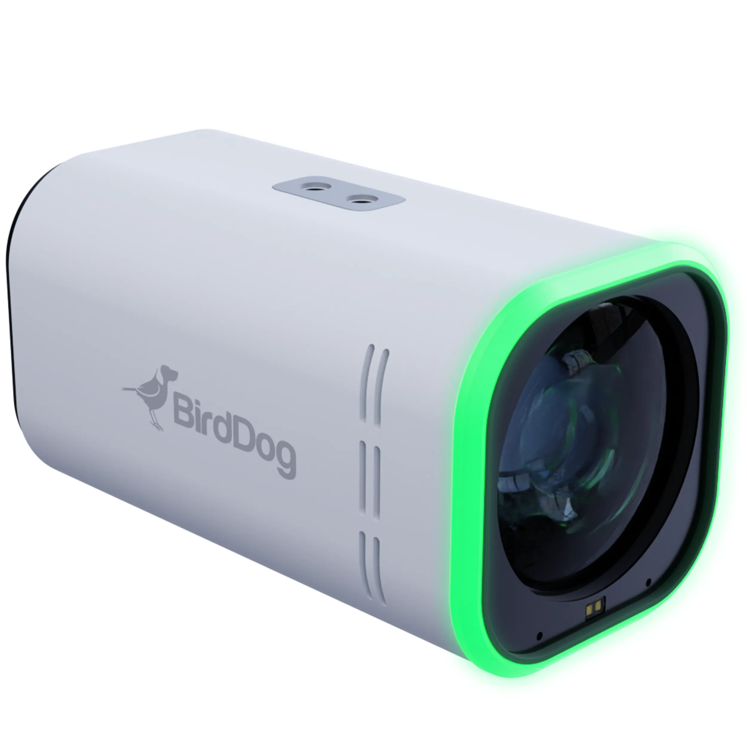 מצלמת BirdDog 4K UHD BOX CAMERA MAKI Ultra 12x - לבנה