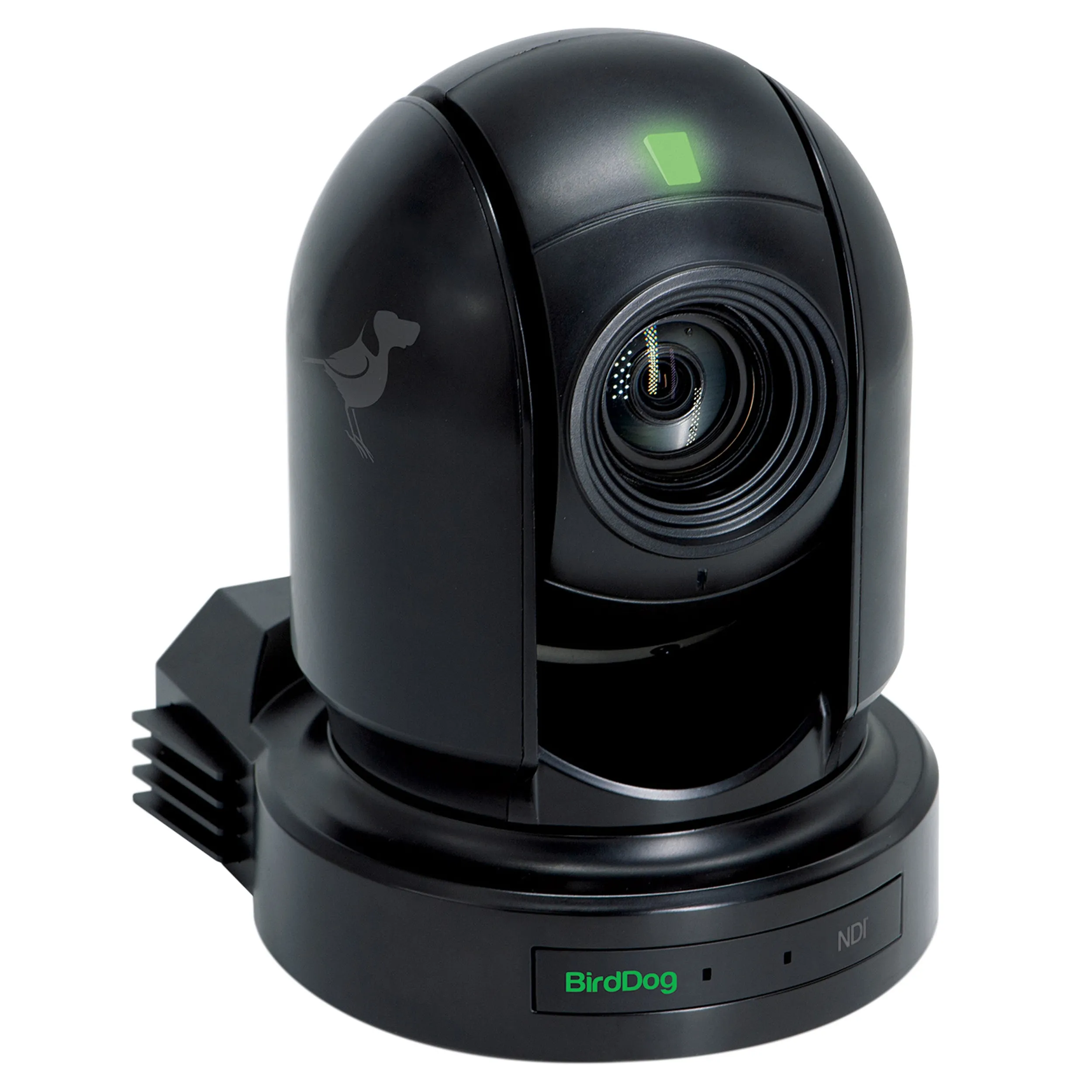 BirdDog Eyes P200 1080P Full NDI PTZ Camera (Black)