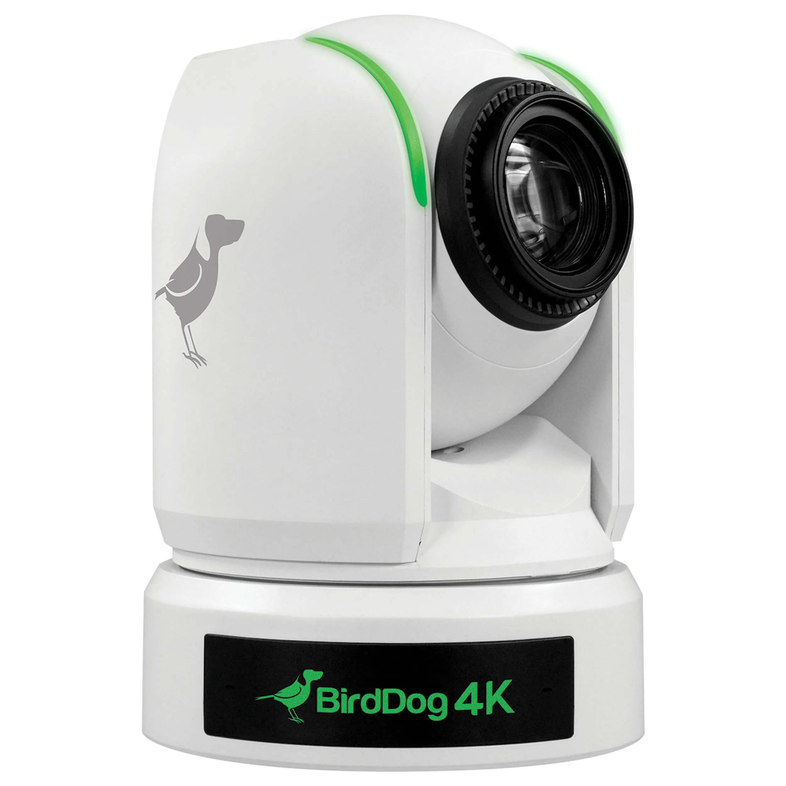 מצלמת BirdDog P4K 4K Full NDI PTZ Camera with 1" Sony Sensor (White)