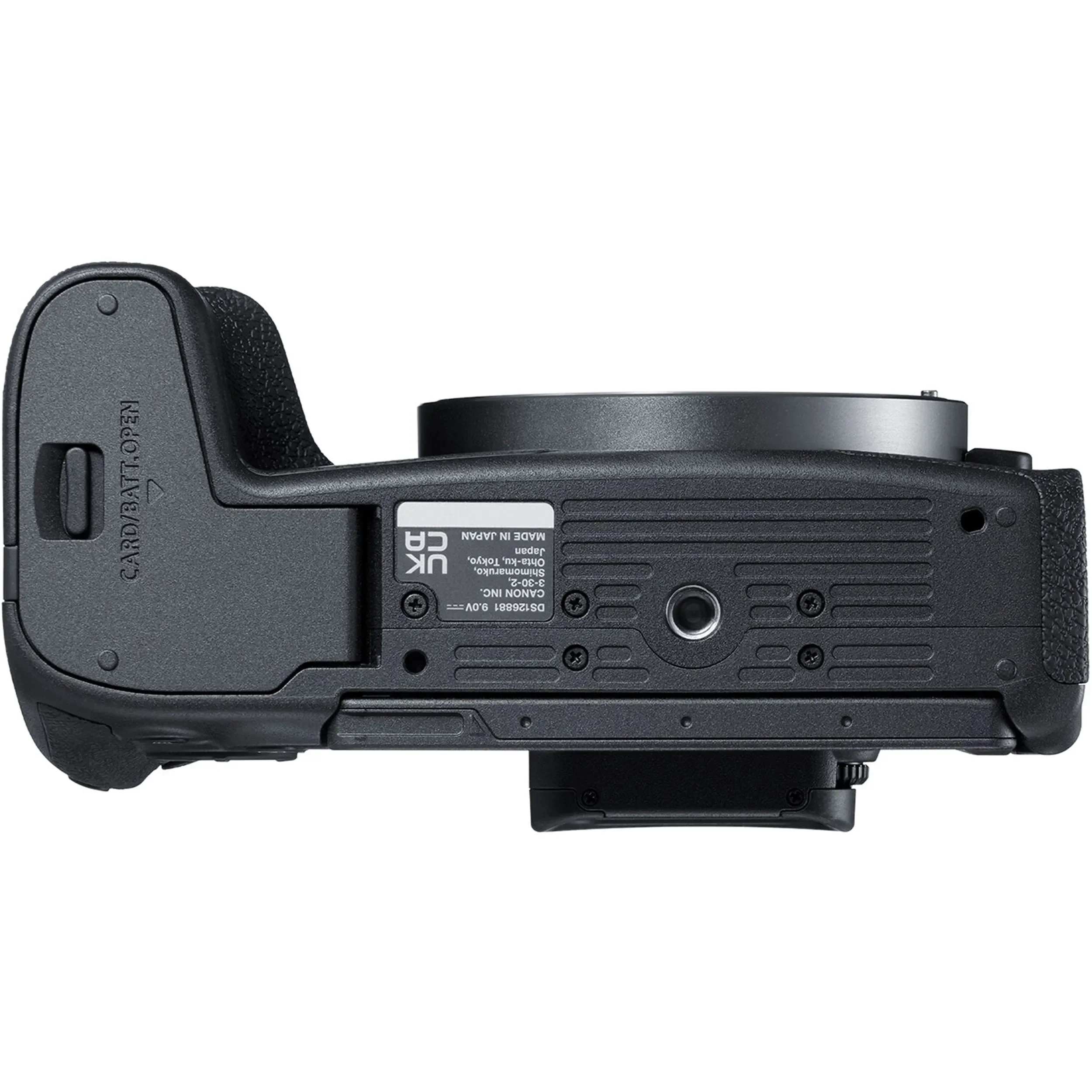 גוף מצלמה ללא מראה Canon EOS R8