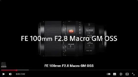 עדשת Sony FE 100mm F2.8 Macro GM OSS