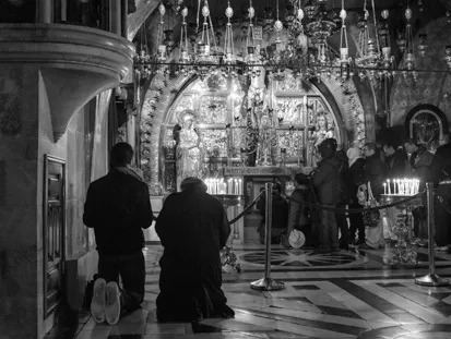 חוות דעת עדשה Zeiss 2/35mm