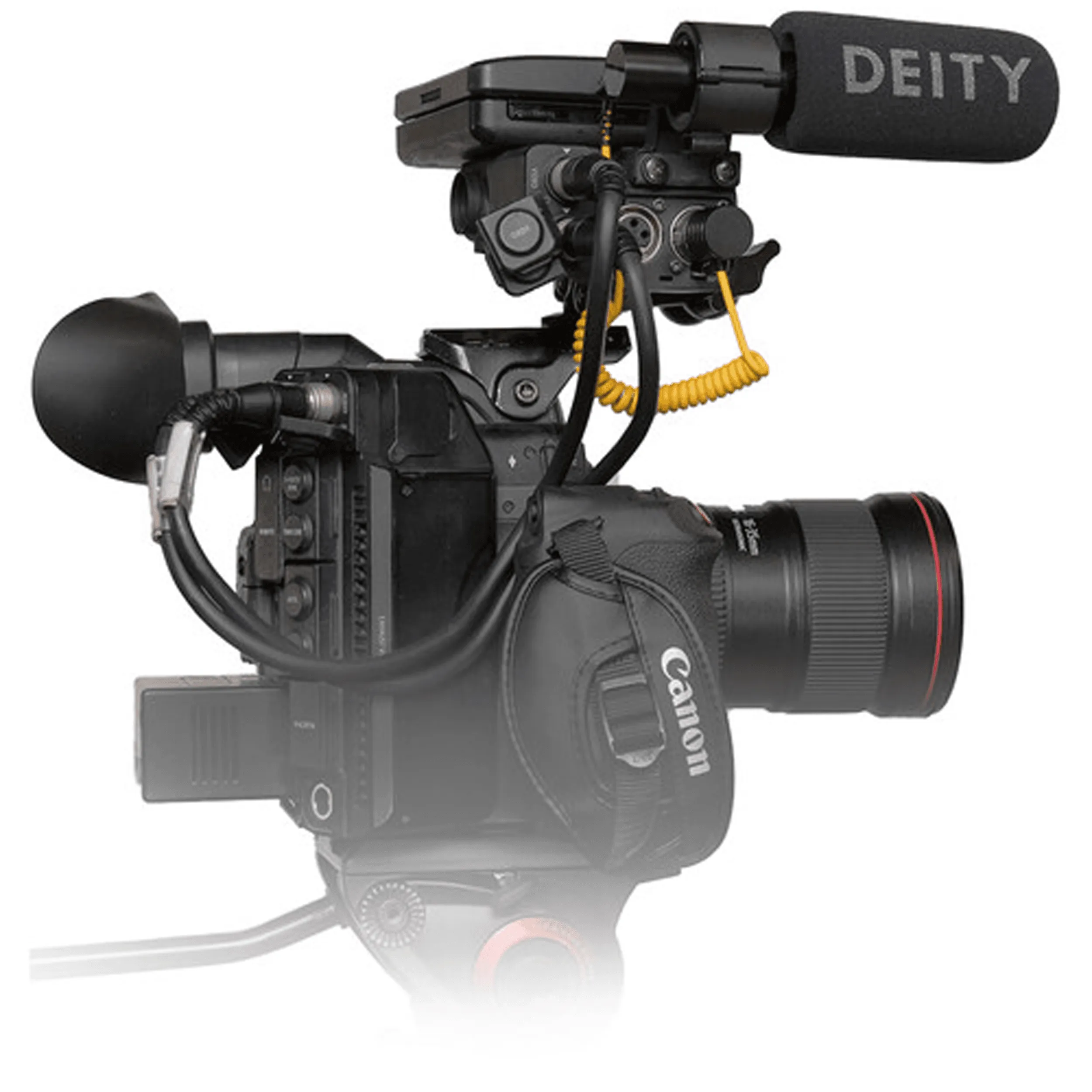 מתאם Deity V-LINK XLR-MINI PL