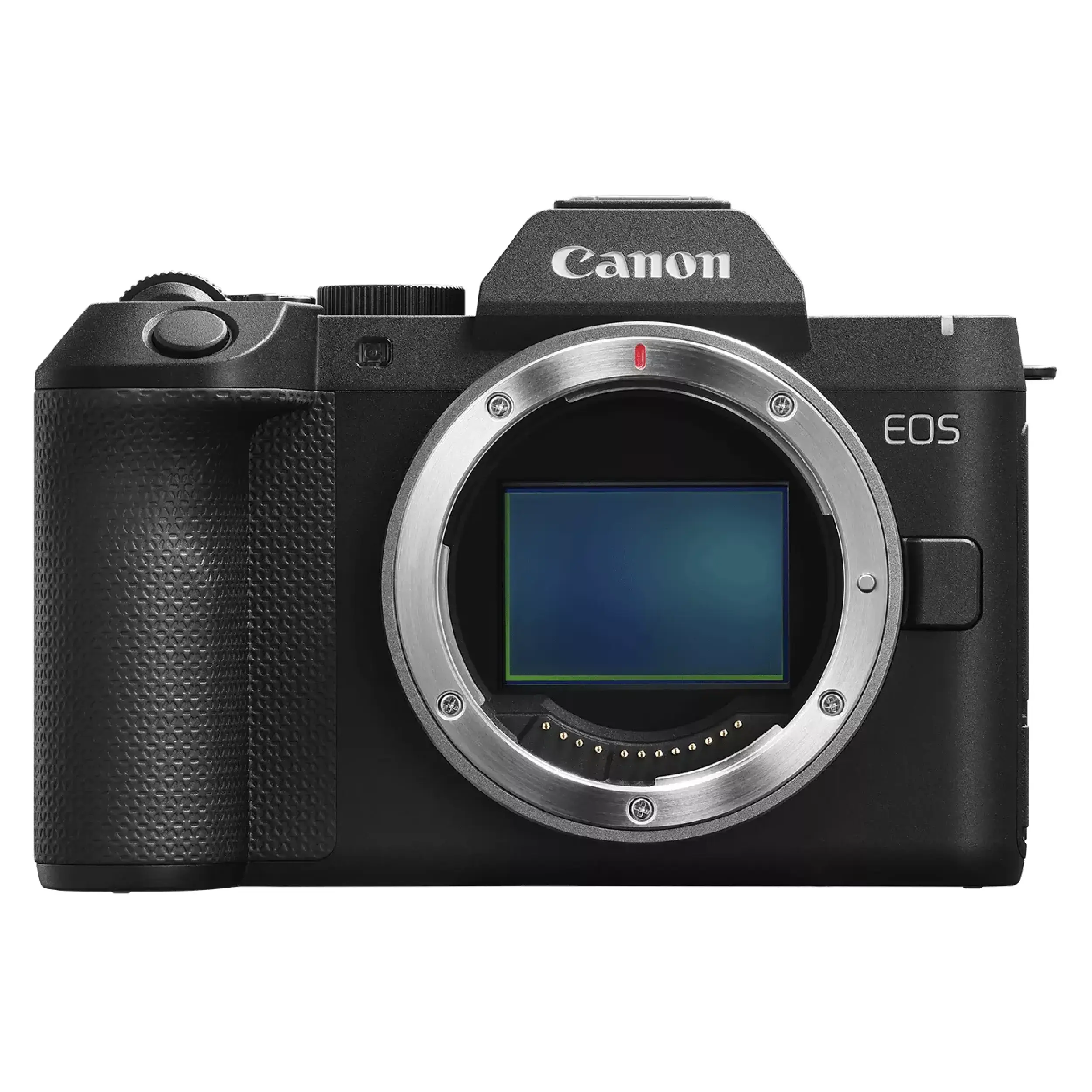גוף מצלמה ללא מראה Canon EOS R8 II--יבואן רשמי