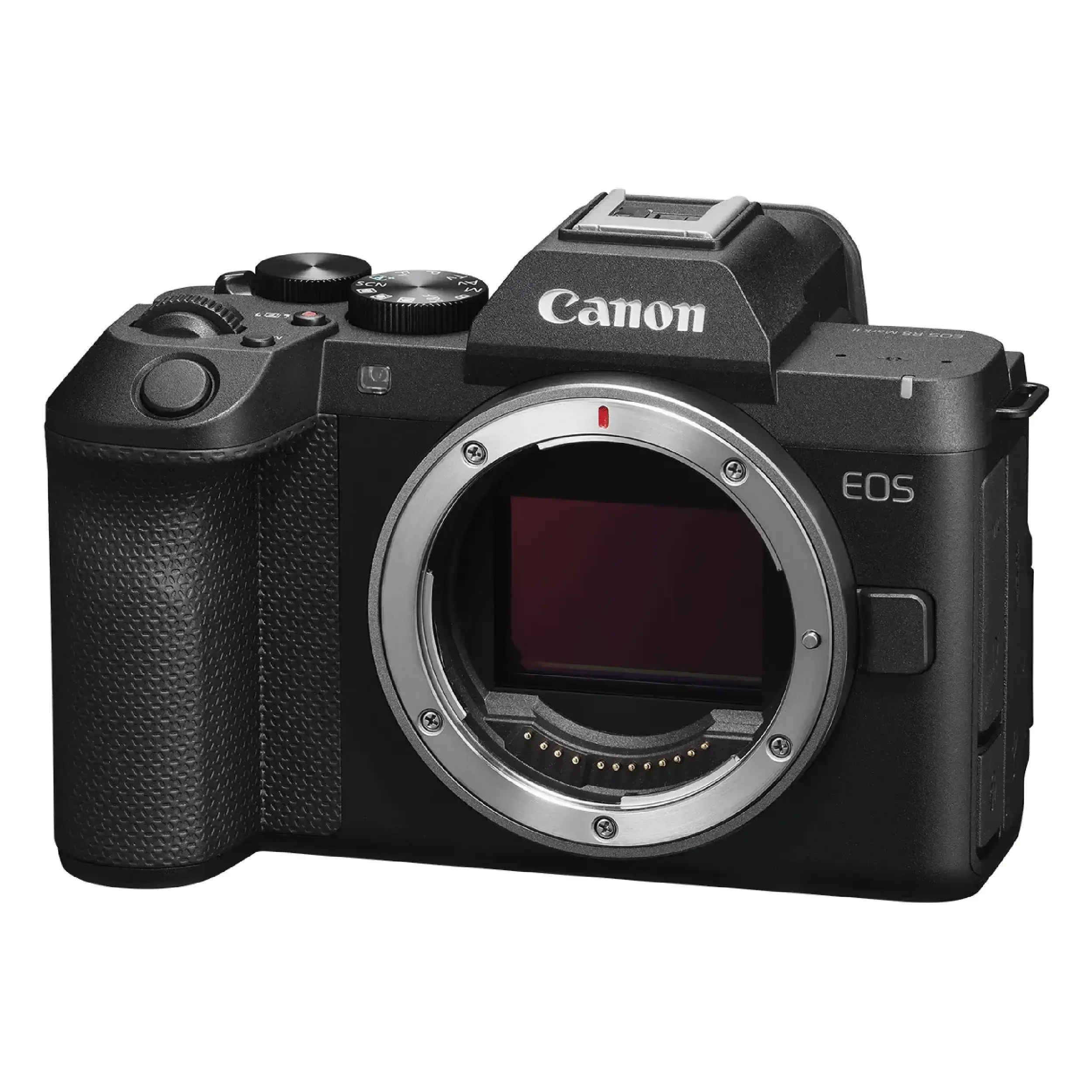 גוף מצלמה ללא מראה Canon EOS R8 II--יבואן רשמי