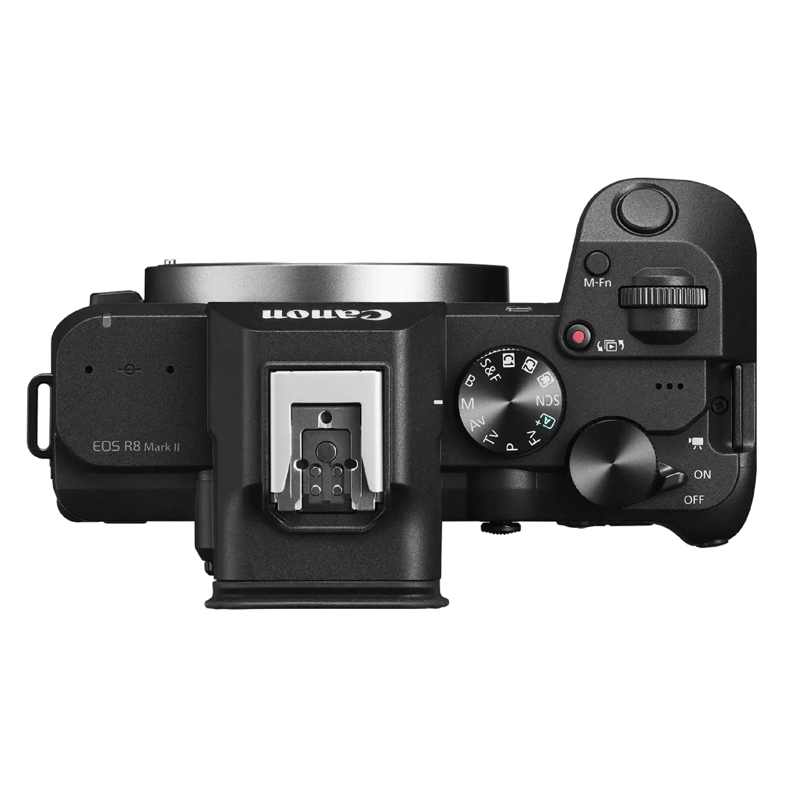 גוף מצלמה ללא מראה Canon EOS R8 II--יבואן רשמי